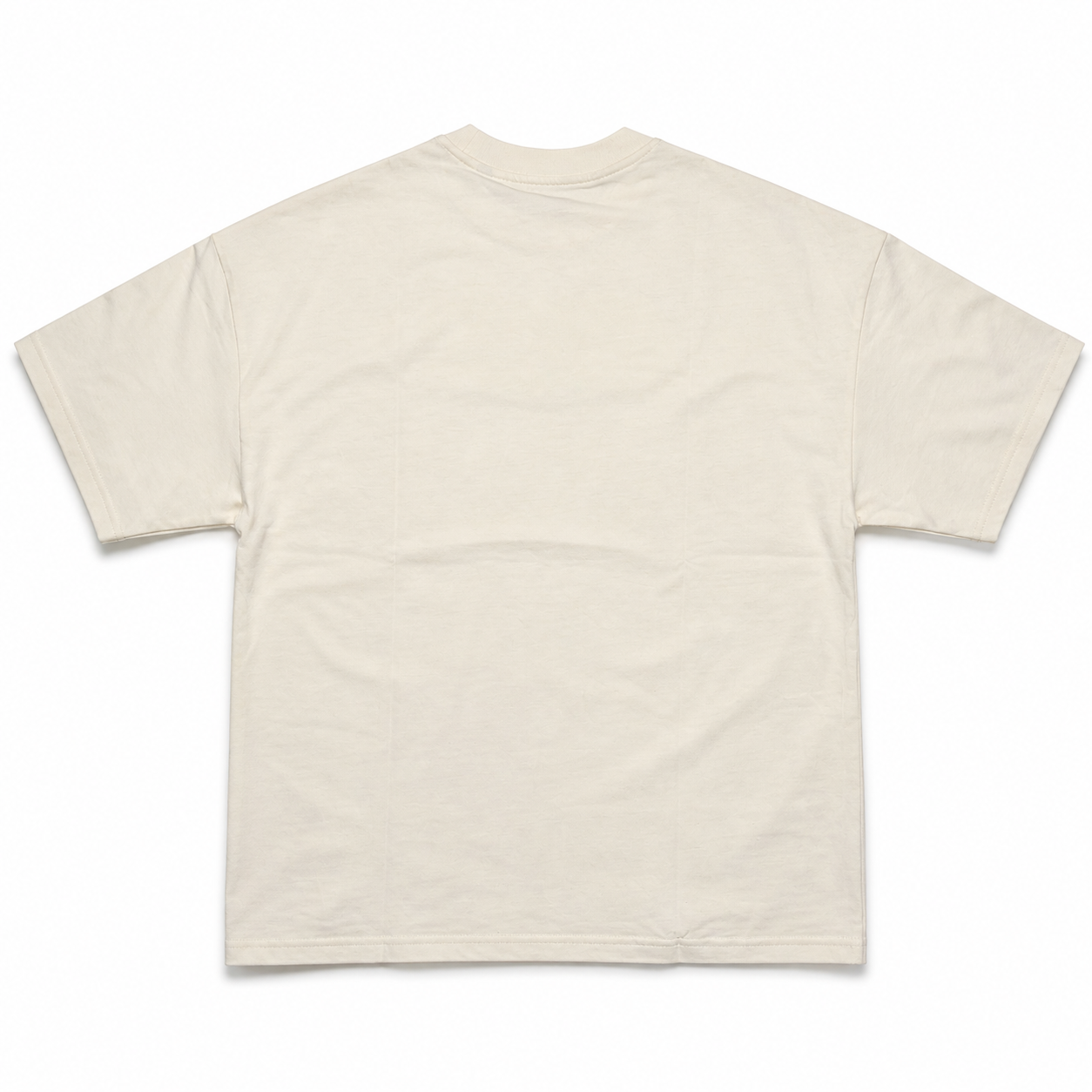 Last Winter T-Shirt