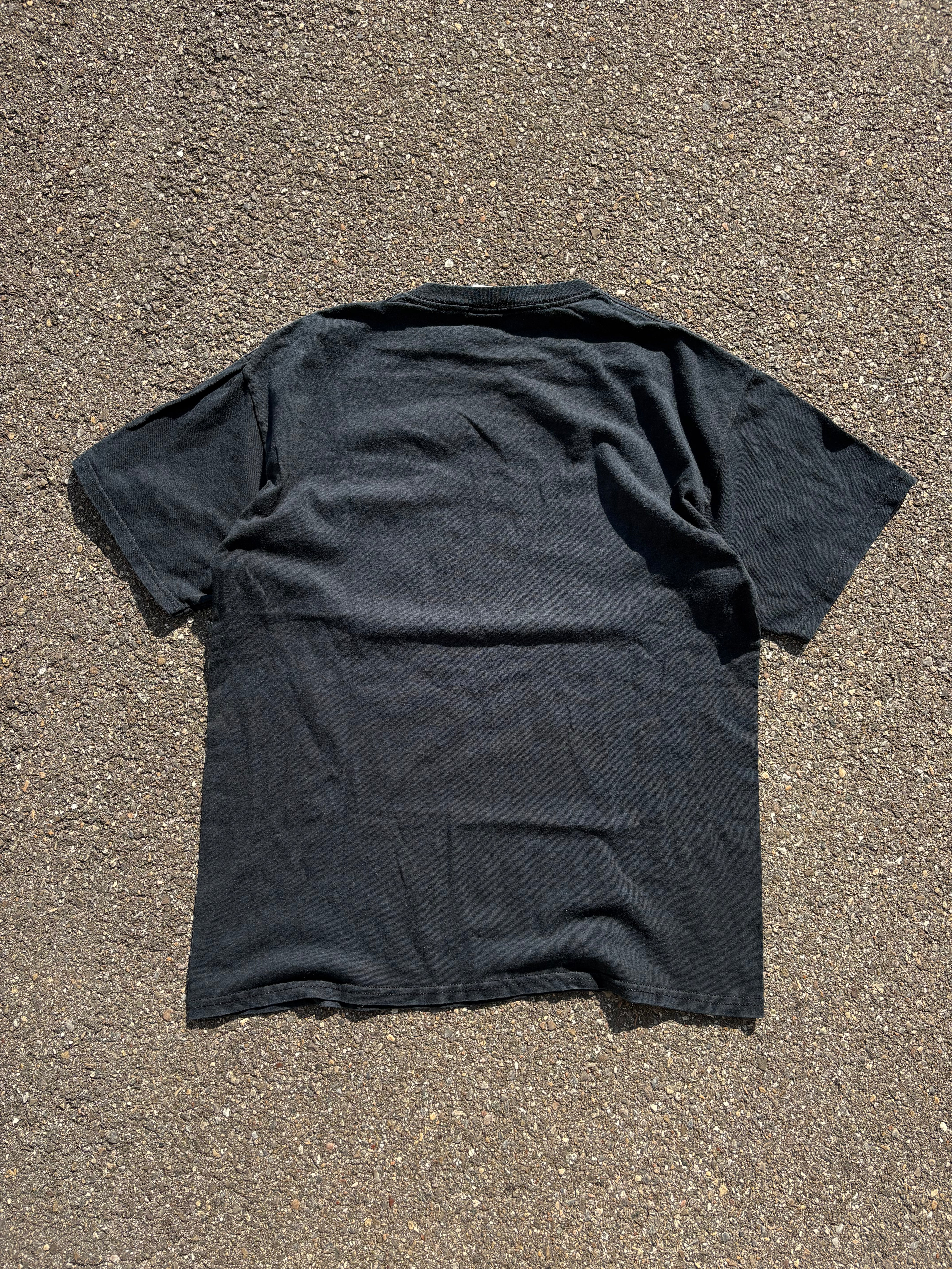 Blink 182 Vintage Tshirt (L)