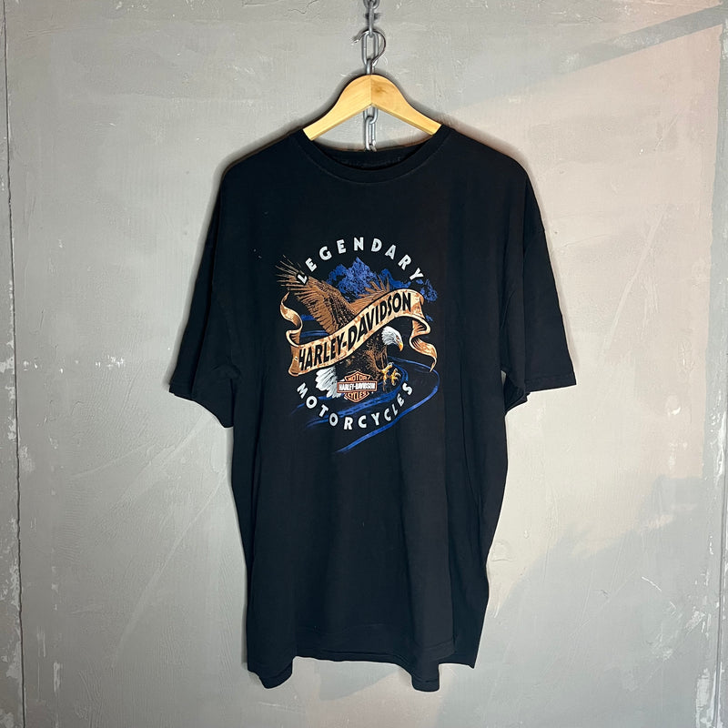 Harley Davidson Vintage T-Shirt (XXL)