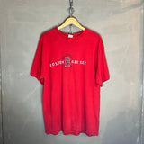 Boston Red Sox Vintage T-Shirt (XL-XXL)