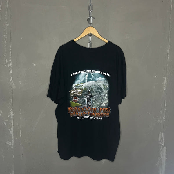 Vintage T-Shirt Harley Davidson (XXL-3XL)