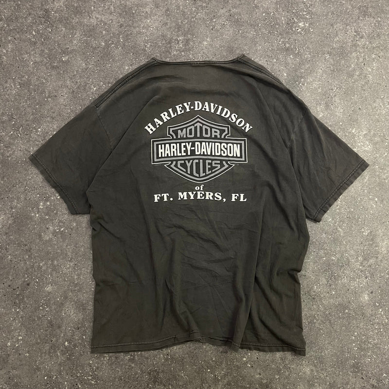 2001 Vintage Harley Davidson T-Shirt (XL-XXL)