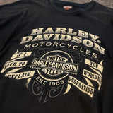2010 Vintage Harley Davidson T-Shirt (XXXL)