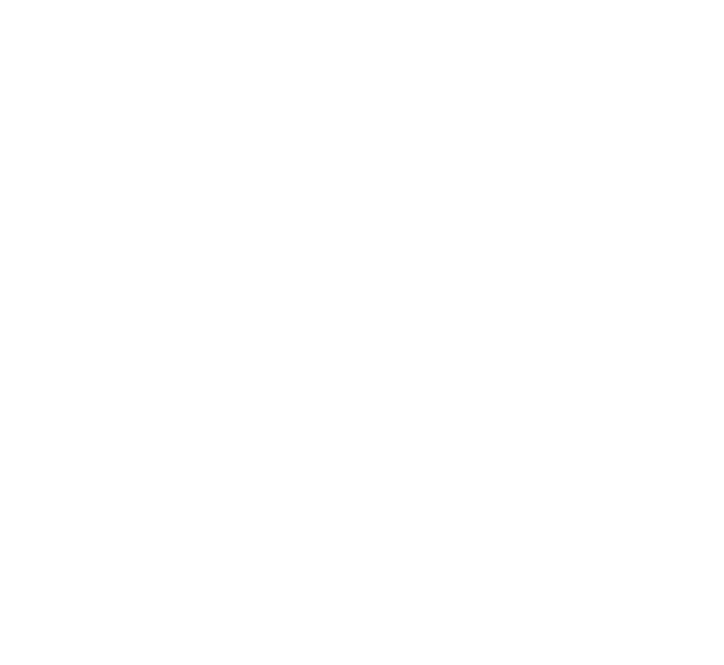 Vice Vintage Selection